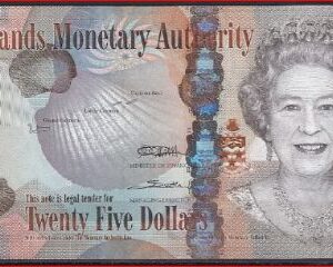 25 Dollars 2010  P 41-a  UNC