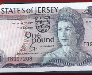 1 pound   P11-b  1976/1988  UNC-