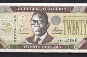 20 dollar 2004  P 29-b  UNC