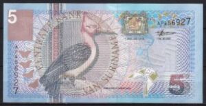 5 gulden  P146   2000  UNC