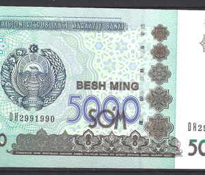 5000 sum P83 2013 UNC