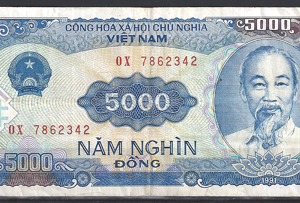 5000 dong P108 1991 ZFr