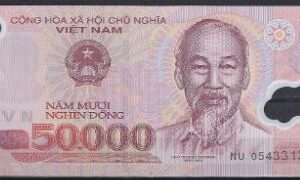 50000 dong P121-c 2005 UNC