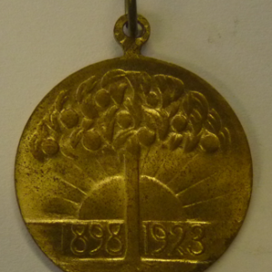 Draagpenning 25-jarig Regeringsjubileum Kon. Wilhelmina 1898-1923